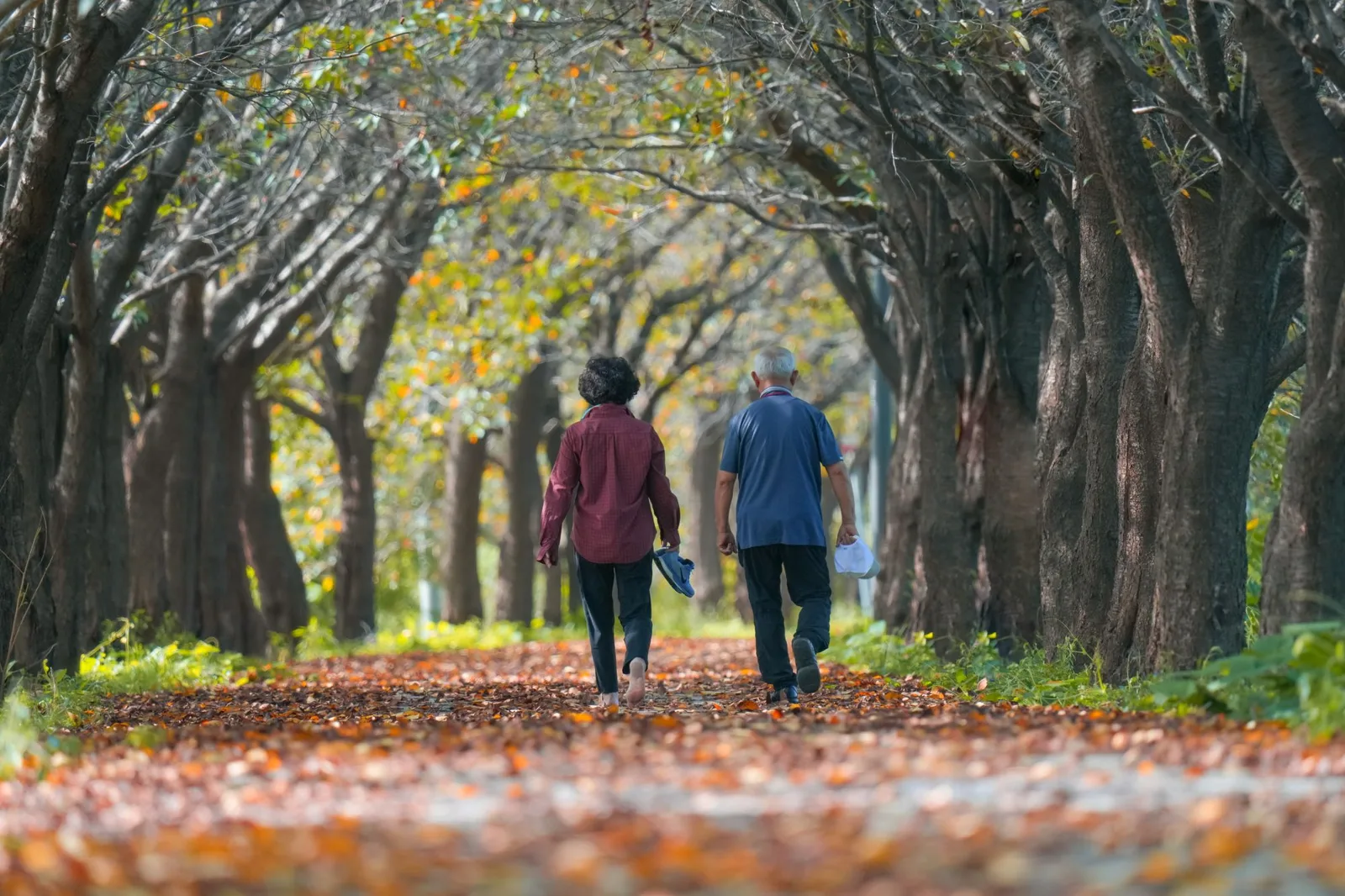 older couple walking in an autumn park — impermanence in Buddhism, anicca